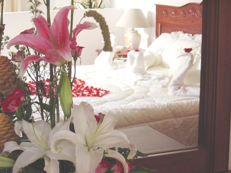 Hotel Vista Hermosa Cuernavaca Dış mekan fotoğraf