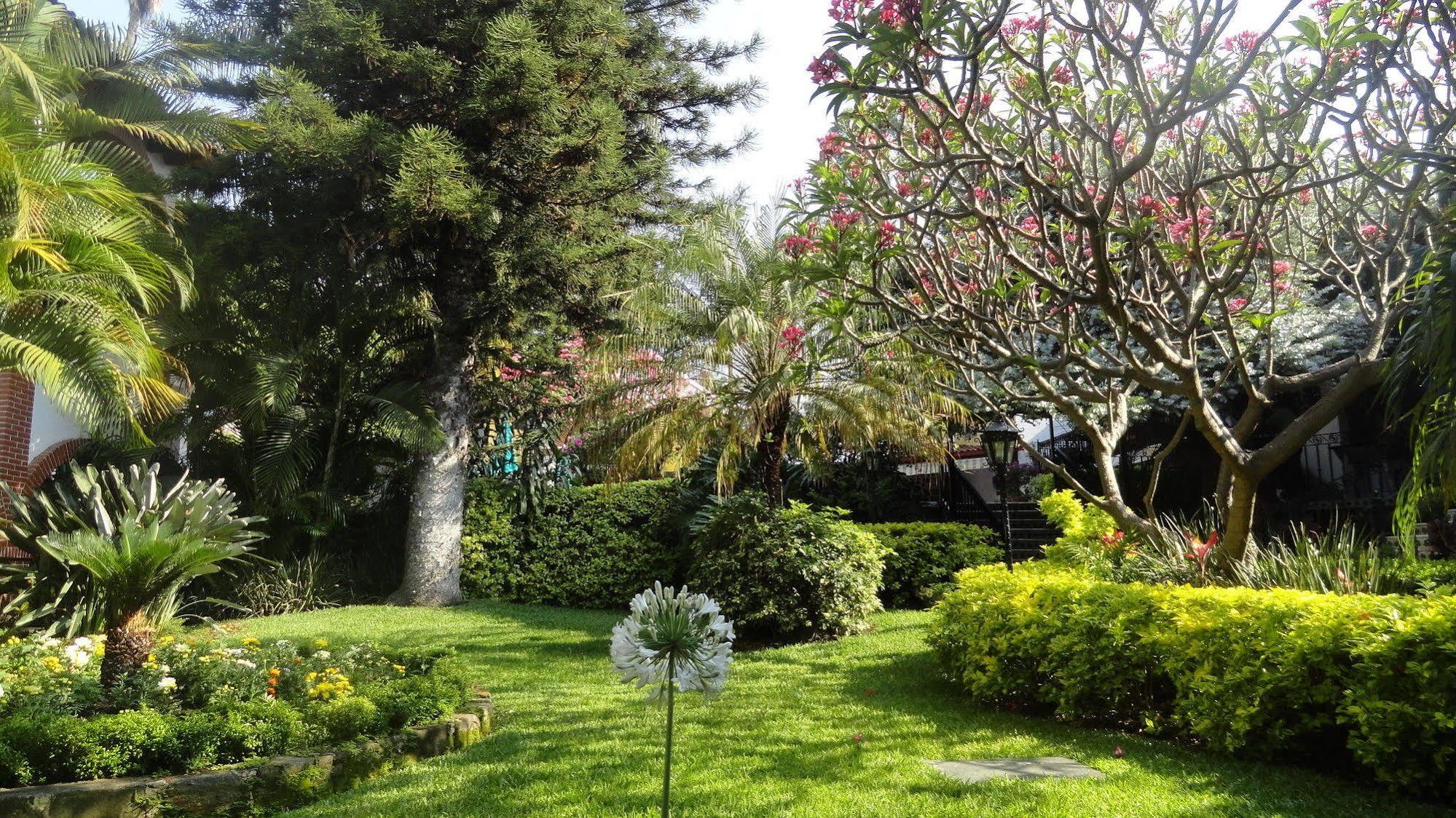 Hotel Vista Hermosa Cuernavaca Dış mekan fotoğraf